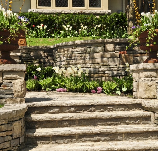 Service Image